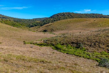Sri Lanka 'daki Horton Plains Ulusal Parkı' nın doğal manzarası.