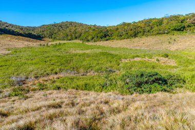 Sri Lanka 'daki Horton Plains Ulusal Parkı' nın doğal manzarası.