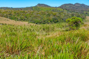 Sri Lanka 'daki Horton Plains Ulusal Parkı' nın doğal manzarası.