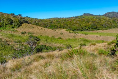 Sri Lanka 'daki Horton Plains Ulusal Parkı' nın doğal manzarası.