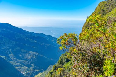 Sri Lanka 'daki Horton Plains Ulusal Parkı' nda dünyanın sonu..
