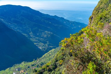 Sri Lanka 'daki Horton Plains Ulusal Parkı' nda dünyanın sonu..