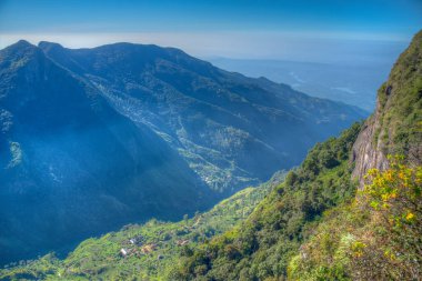 Sri Lanka 'daki Horton Plains Ulusal Parkı' nda dünyanın sonu..