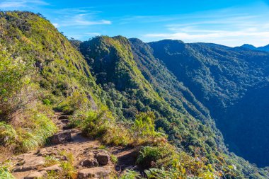 Sri Lanka Dusky çizgili sincap Sri Lanka 'daki Horton Plains Ulusal Parkı' nda.