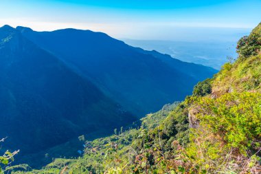 Sri Lanka 'daki Horton Plains Ulusal Parkı' nda dünyanın sonu..