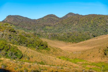 Sri Lanka 'daki Horton Plains Ulusal Parkı' nın doğal manzarası.