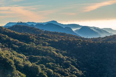 Sri Lanka 'daki Horton Plains Ulusal Parkı' nın doğal manzarası.