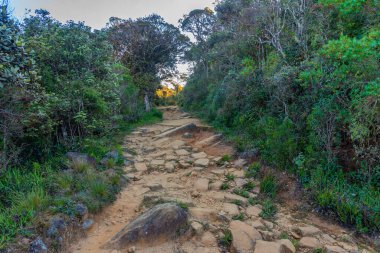 Sri Lanka 'daki Horton Plains Ulusal Parkı' nın doğal manzarası.