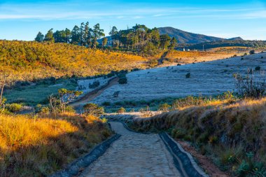 Sri Lanka 'daki Horton Plains Ulusal Parkı' nın doğal manzarası.