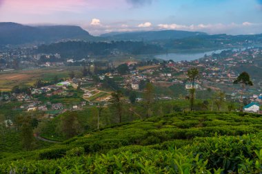Nuwara Eliya 'nın Sri Lanka' daki günbatımı görüntüsü.