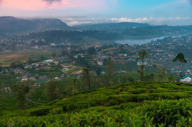 Nuwara Eliya 'nın Sri Lanka' daki günbatımı görüntüsü.