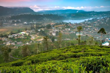 Nuwara Eliya 'nın Sri Lanka' daki günbatımı görüntüsü.
