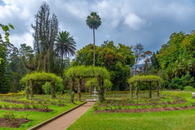 Nuwara Eliya 'daki Victoria Park, Sri Lanka.