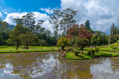 Nuwara Eliya 'daki Victoria Park, Sri Lanka.