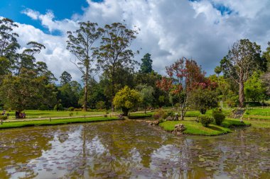 Nuwara Eliya 'daki Victoria Park, Sri Lanka.