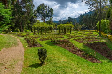 Nuwara Eliya 'daki Victoria Park, Sri Lanka.
