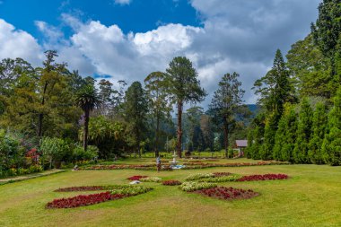 Nuwara Eliya 'daki Victoria Park, Sri Lanka.