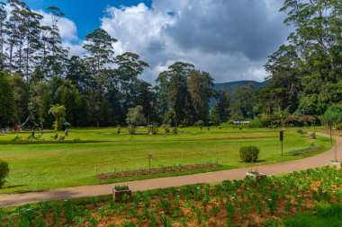 Nuwara Eliya 'daki Victoria Park, Sri Lanka.