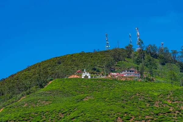 Panorama Tea Plantations Nuwara Eliya Sri Lanka — Stock Photo, Image