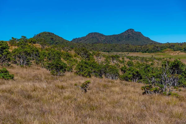 Sri Lanka 'daki Horton Plains Ulusal Parkı' nın doğal manzarası.