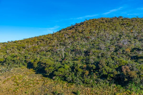 Přírodní Krajina Národního Parku Horton Plains Srí Lance — Stock fotografie