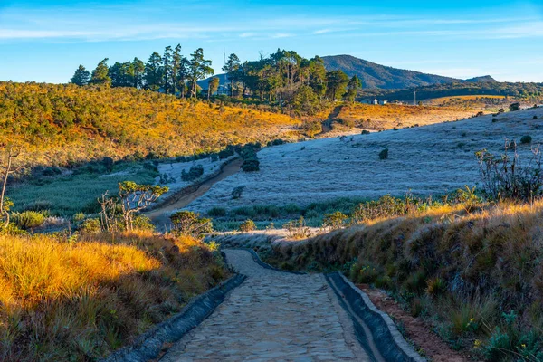 Sri Lanka 'daki Horton Plains Ulusal Parkı' nın doğal manzarası.