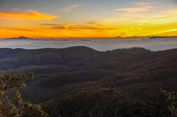 Auringonnousu Sri Lankan Ylämailla Horton Plainsin Kansallispuistosta Katsottuna — kuvapankkivalokuva
