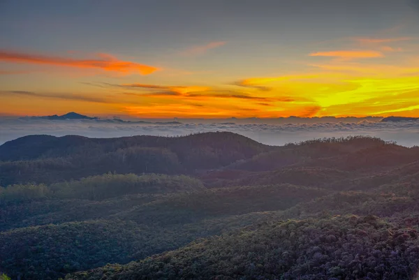 Восход Солнца Над Нагорьем Шри Ланки Территории Национального Парка Хортон — стоковое фото