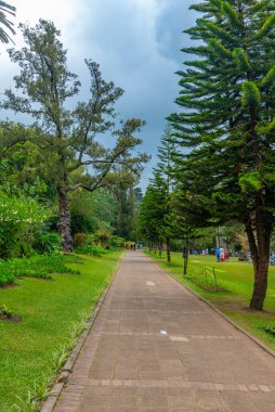 Nuwara Eliya 'daki Victoria Park, Sri Lanka.