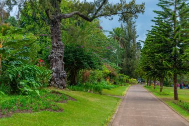 Nuwara Eliya 'daki Victoria Park, Sri Lanka.