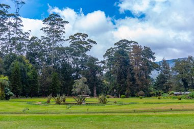 Nuwara Eliya 'daki Victoria Park, Sri Lanka.