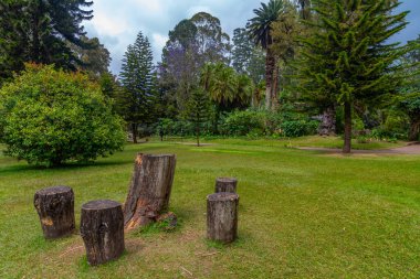 Nuwara Eliya 'daki Victoria Park, Sri Lanka.