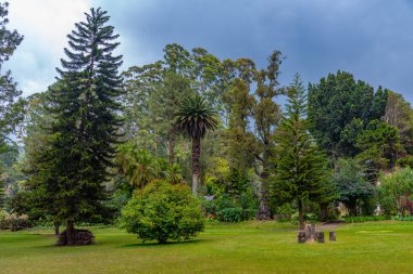 Nuwara Eliya 'daki Victoria Park, Sri Lanka.