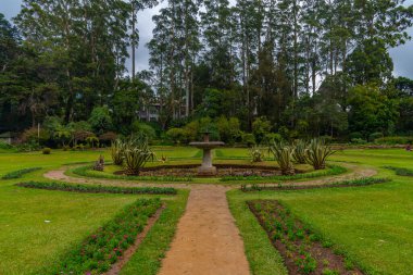 Nuwara Eliya 'daki Victoria Park, Sri Lanka.