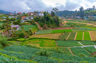 Nuwara Eliya yakınlarındaki köyler ve çay tarlalarıyla benekli Sri Lanka 'nın Hilly manzarası.