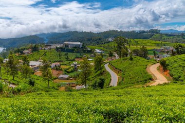 Nuwara Eliya yakınlarındaki köyler ve çay tarlalarıyla benekli Sri Lanka 'nın Hilly manzarası.