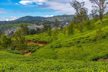 Nuwara Eliya yakınlarındaki köyler ve çay tarlalarıyla benekli Sri Lanka 'nın Hilly manzarası.