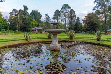 Nuwara Eliya 'daki Victoria Park, Sri Lanka.