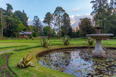 Nuwara Eliya 'daki Victoria Park, Sri Lanka.