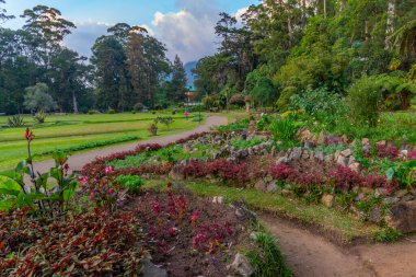 Nuwara Eliya 'daki Victoria Park, Sri Lanka.