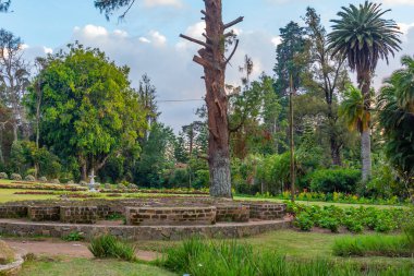 Nuwara Eliya 'daki Victoria Park, Sri Lanka.