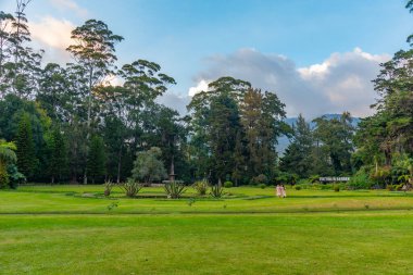 Nuwara Eliya 'daki Victoria Park, Sri Lanka.