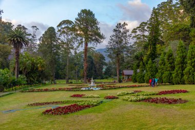 Nuwara Eliya 'daki Victoria Park, Sri Lanka.