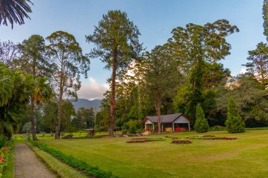Nuwara Eliya 'daki Victoria Park, Sri Lanka.