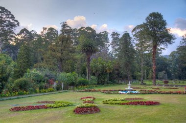 Nuwara Eliya 'daki Victoria Park, Sri Lanka.