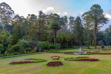 Nuwara Eliya 'daki Victoria Park, Sri Lanka.