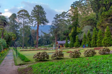 Nuwara Eliya 'daki Victoria Park, Sri Lanka.