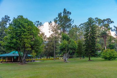 Nuwara Eliya 'daki Victoria Park, Sri Lanka.