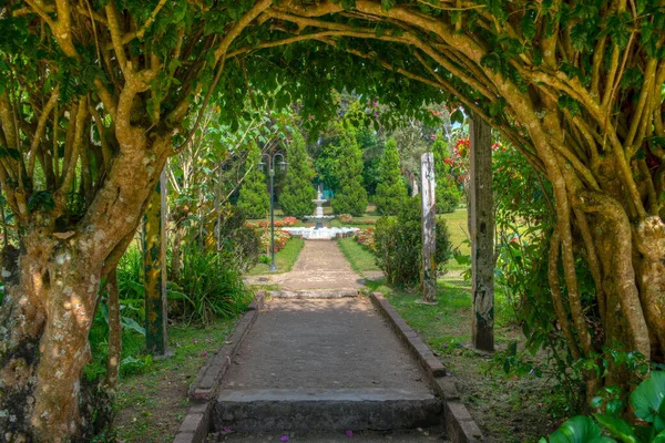 Park Victoria Nuwara Eliya Sri Lanka — Zdjęcie stockowe