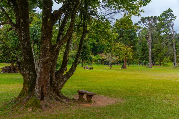 Victoria Park Nuwara Eliya Sri Lanka — Stockfoto